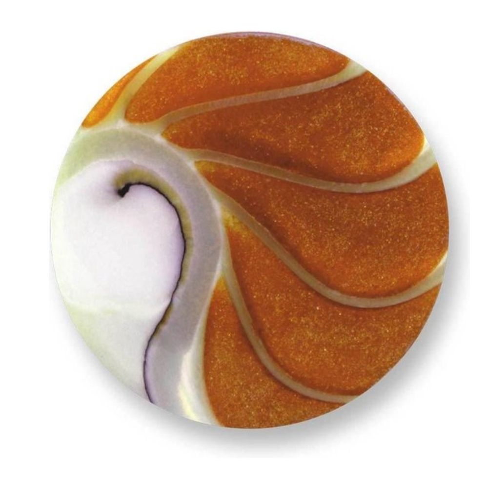 MI MONEDA | Munt Nautilus Deluxe M - orange